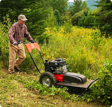 Performance-Driven Precision for Seasonal ROI Growth